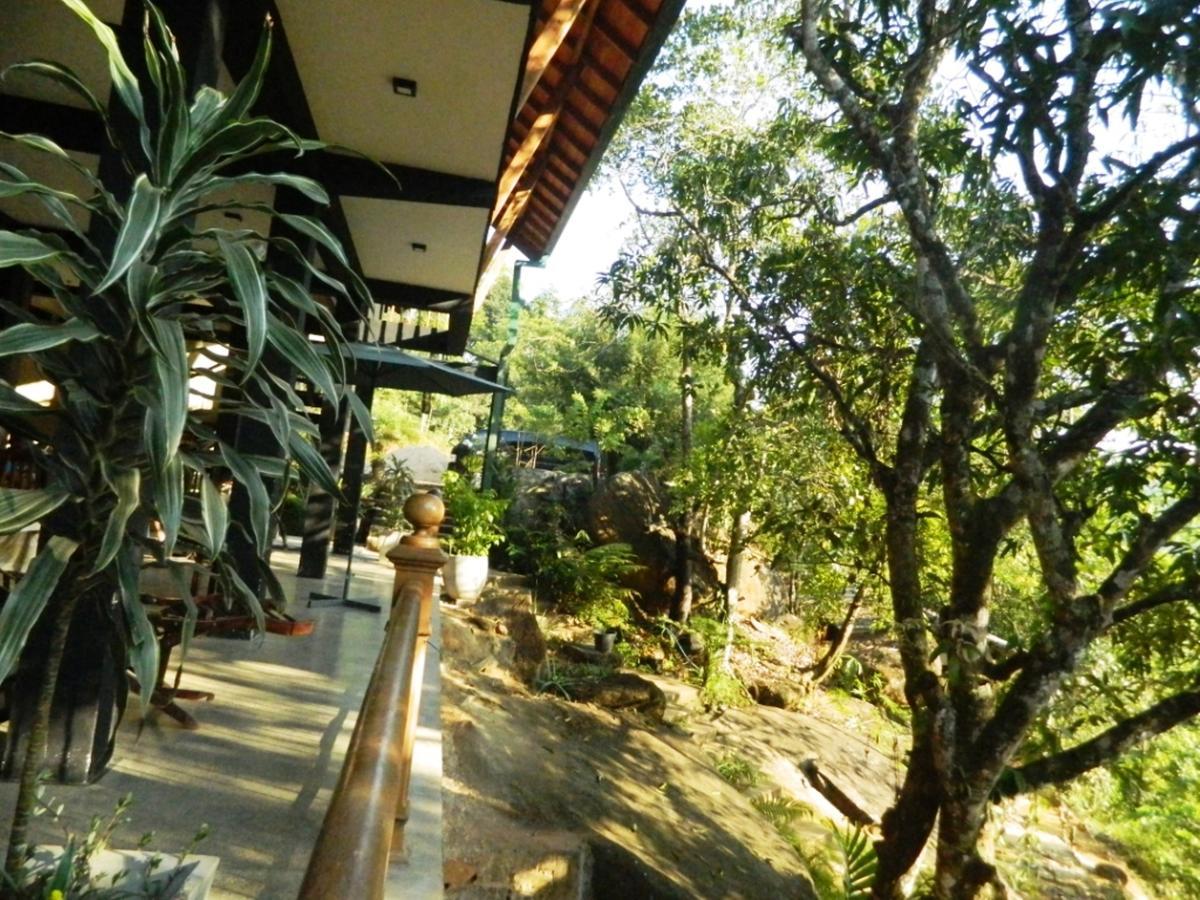 Birds Paradise Hotel Kudawe Exterior foto